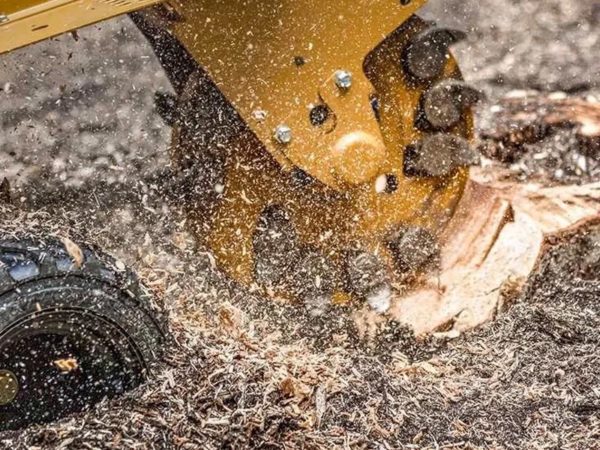 Stump Grinding & Removal Brisbane - Northside & Southside