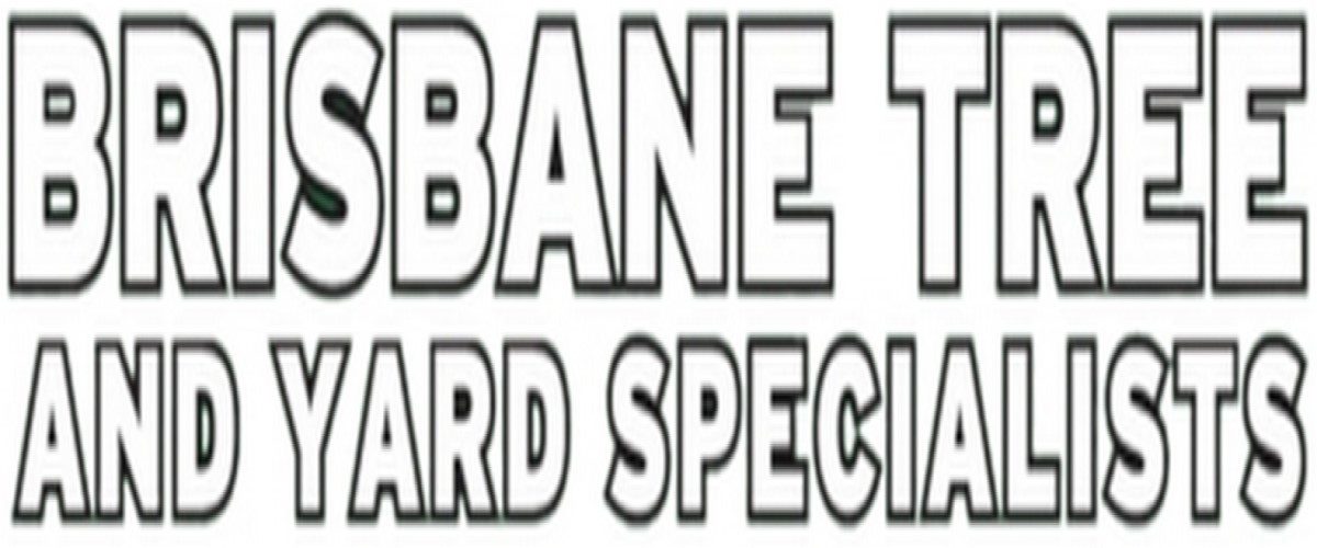 Brisbane Tree & Yard Affordable Tree Services