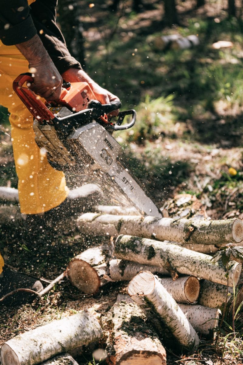 Why You Need Experts For Tree Cutting Jobs Brisbane Tree Yard
